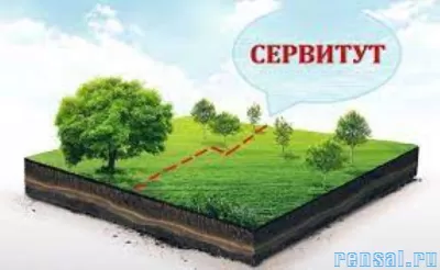 Установление сервитута для юридических лиц, С-Петербург